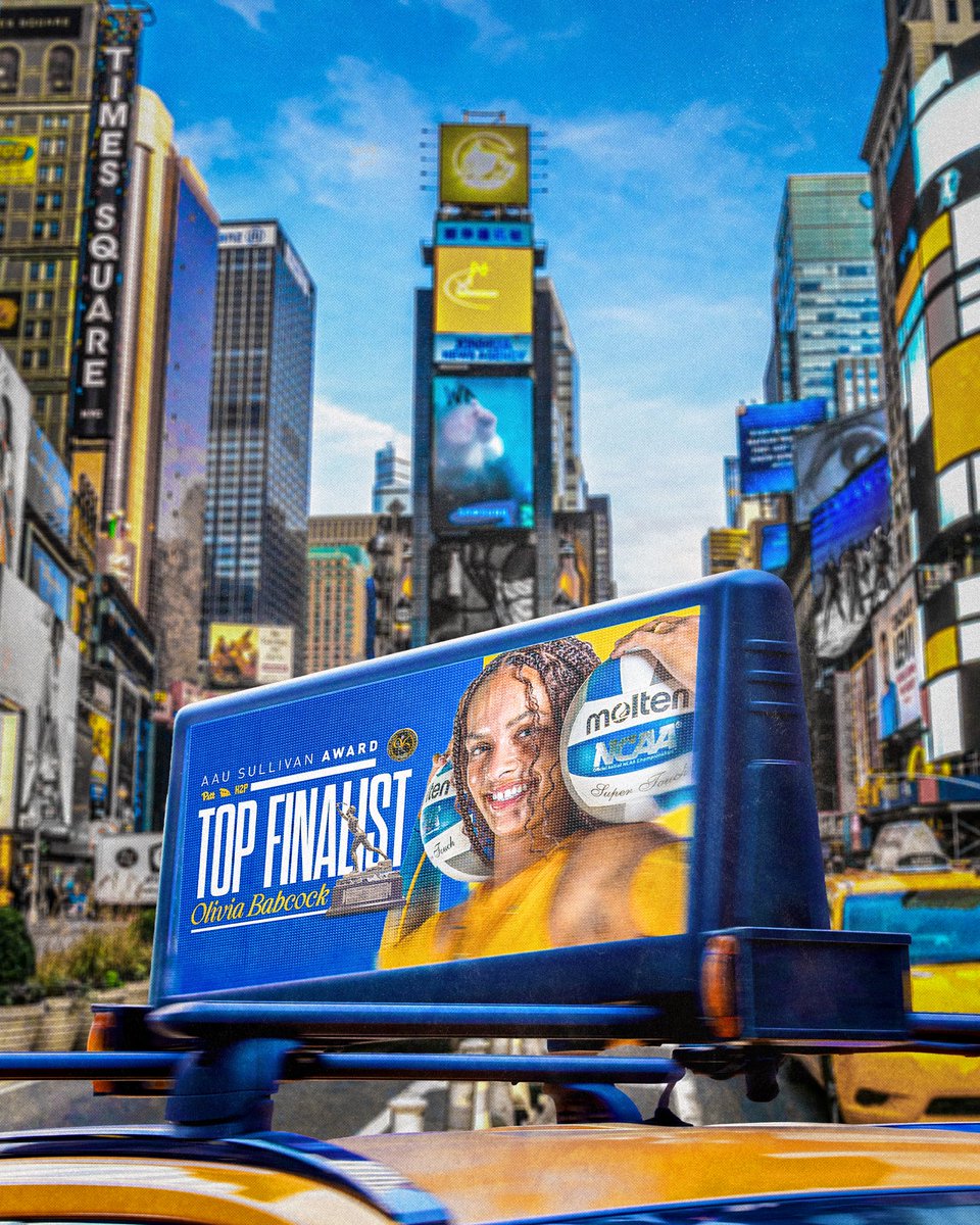 Pitt Volleyball tweet media