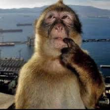 Կատերինա tweet media