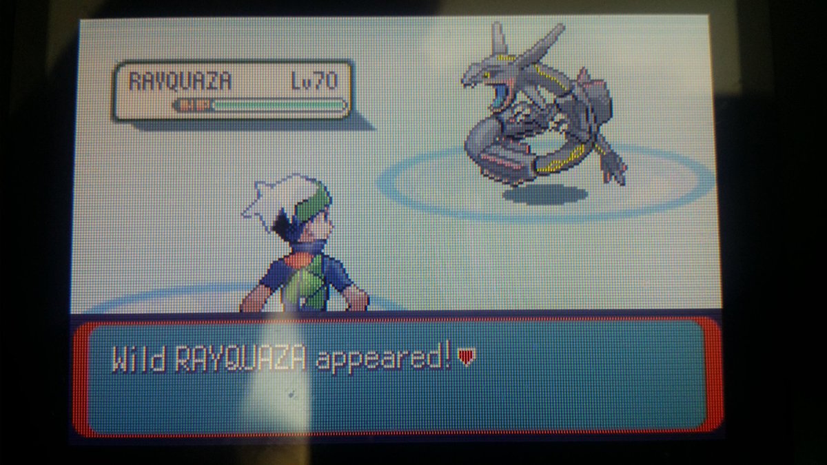 Brendan Ω #GroudonFanclub tweet media