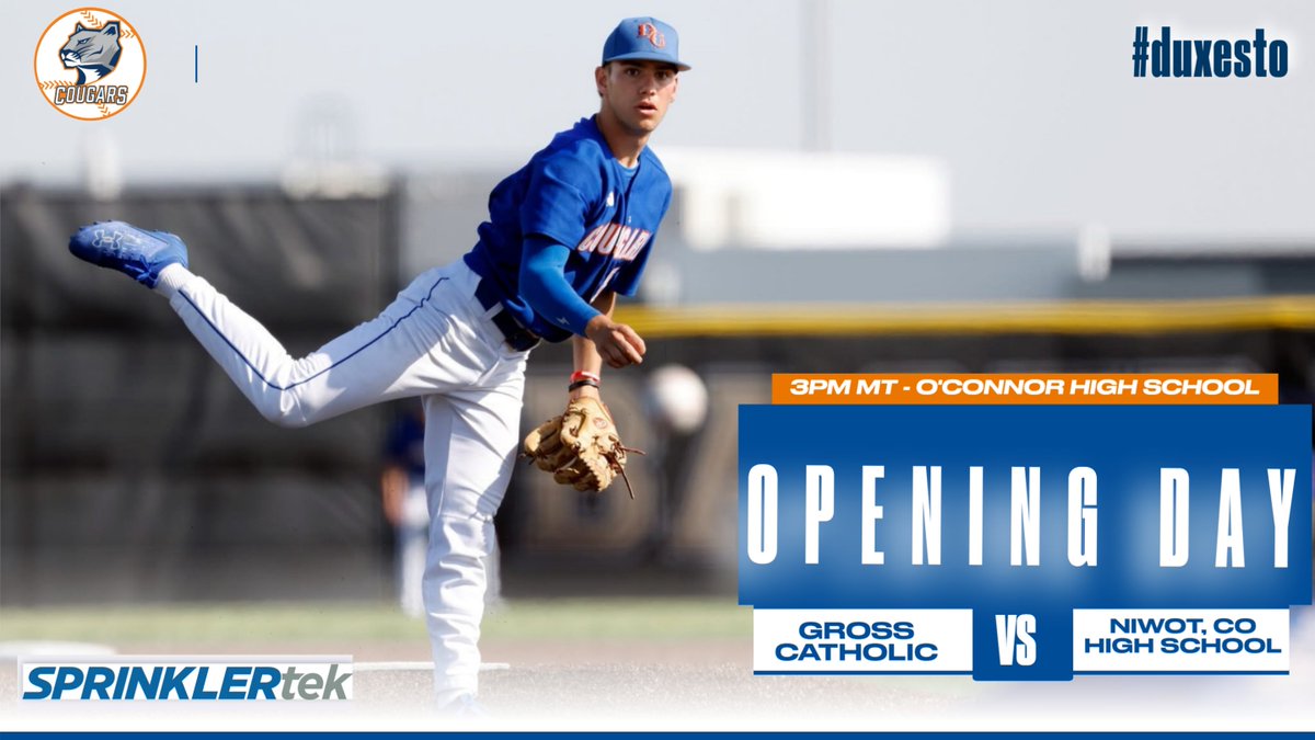 Gross Catholic Baseball tweet media