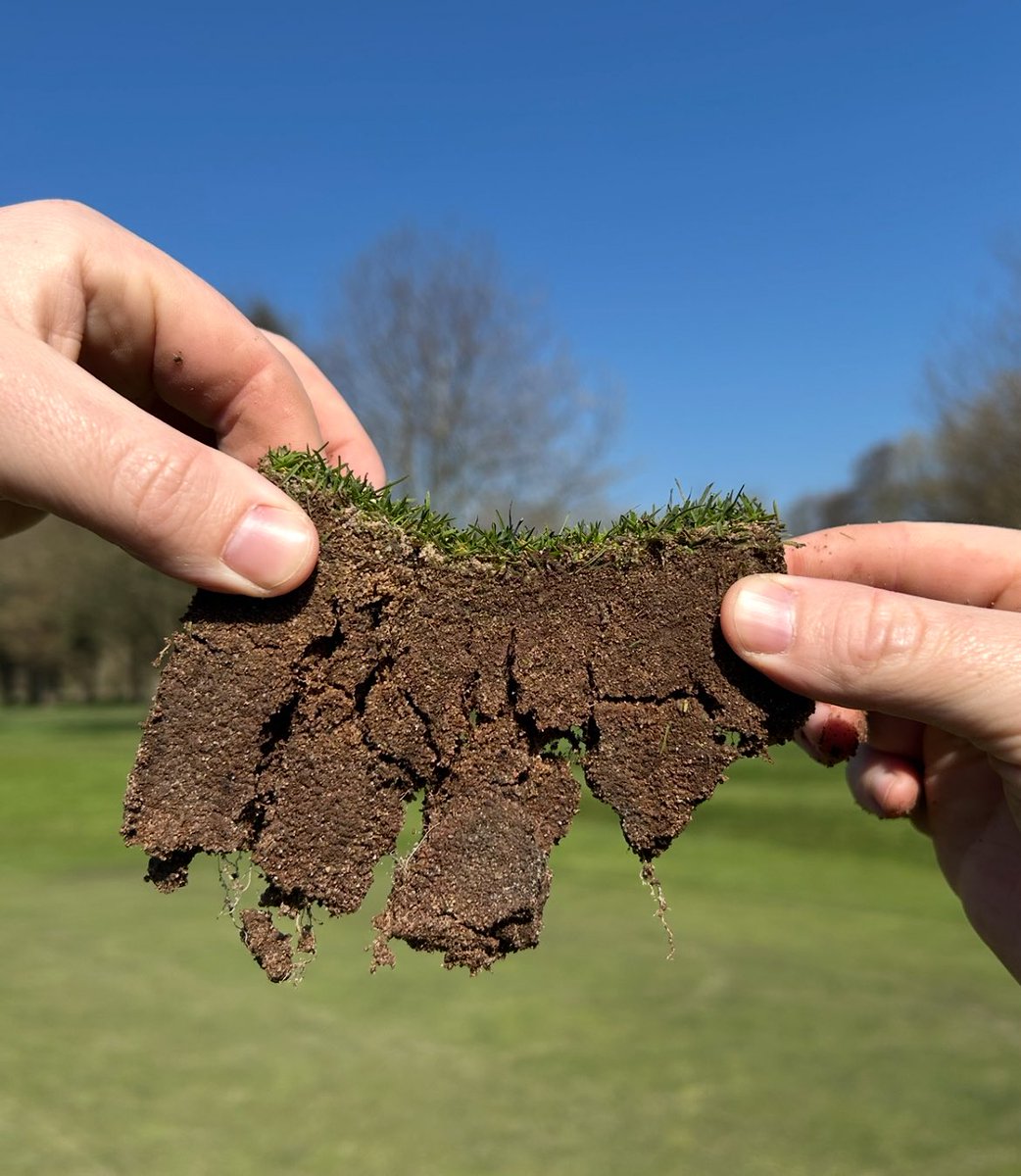 Mark Simmons tweet media