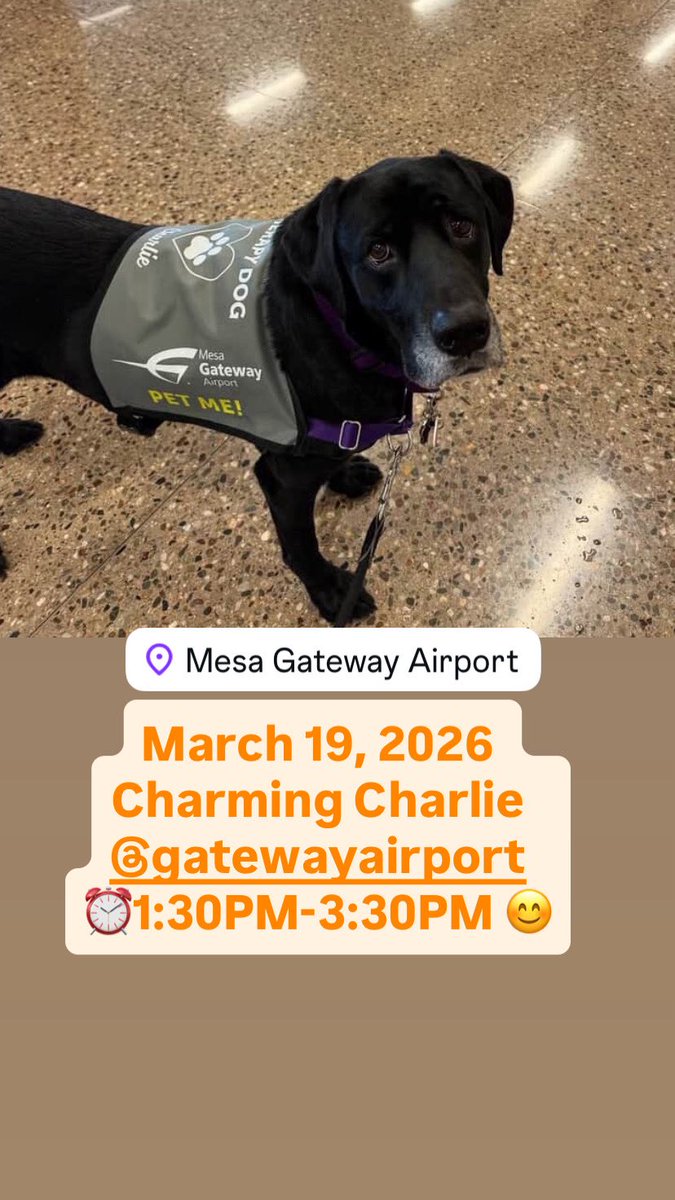 Airport Therapy Dogs tweet media