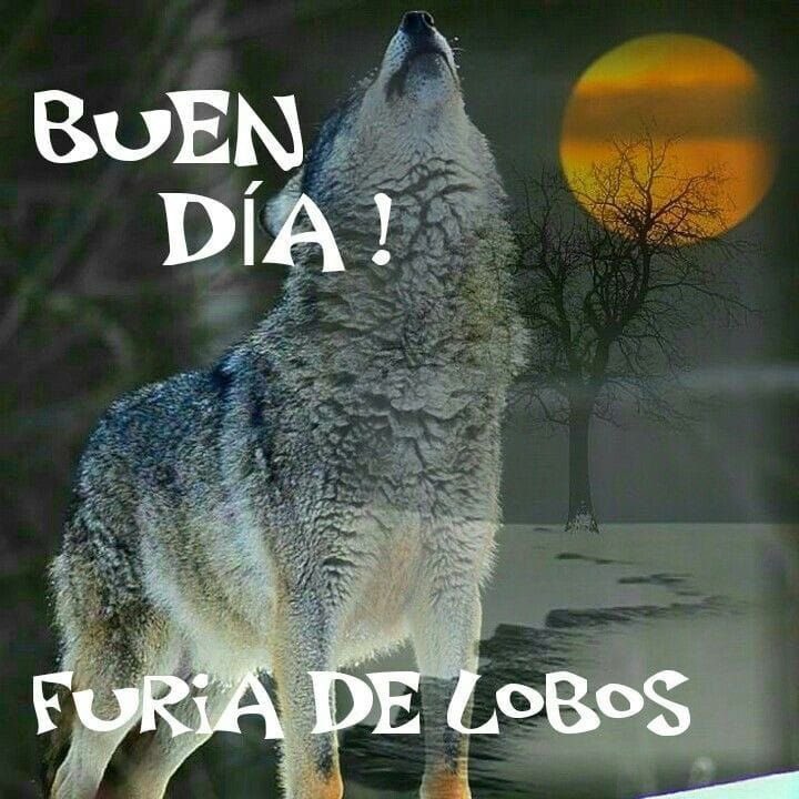 Soldado de San-Hamilto-moto 🇯🇵 tweet media