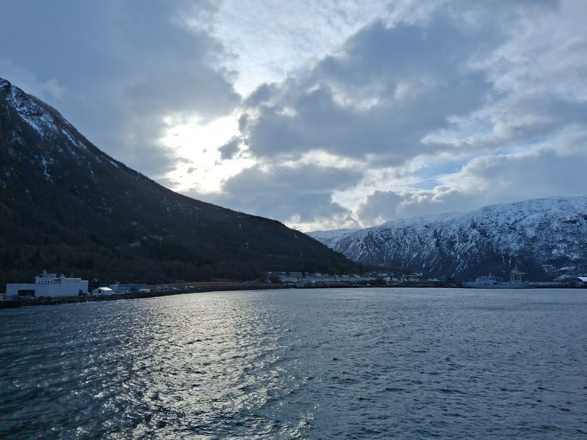 Steven 🔴🔰🏴 tweet media