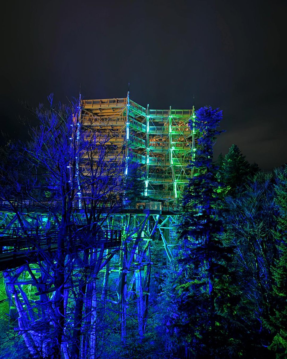 PROLIGHTS tweet media