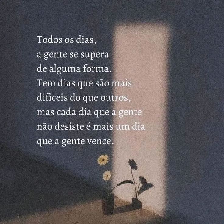 Frases e Versos tweet media