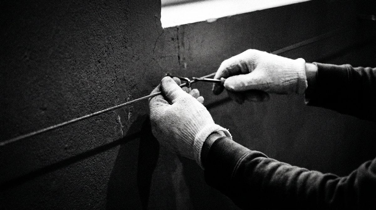 solienne tweet media