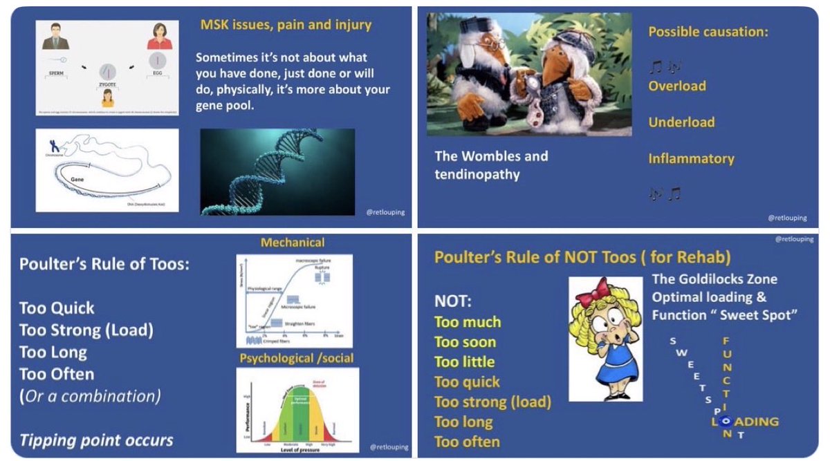 ɹǝʇlnoԀ pıʌɐᗡ 🚴🏻 🇺🇸 🇦🇺 🇬🇧 tweet media