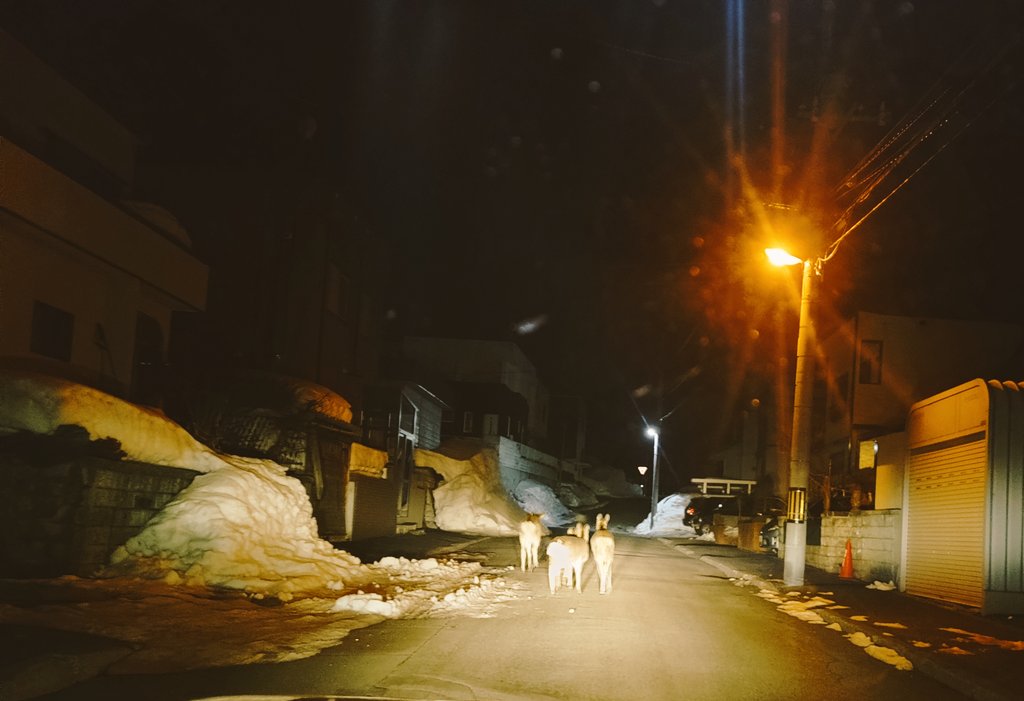 今日もプーラー室にいます tweet media