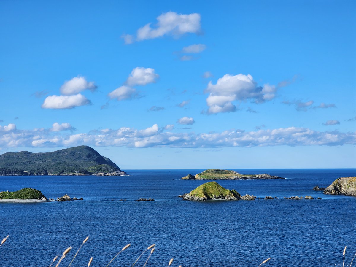 Jason D. White tweet media