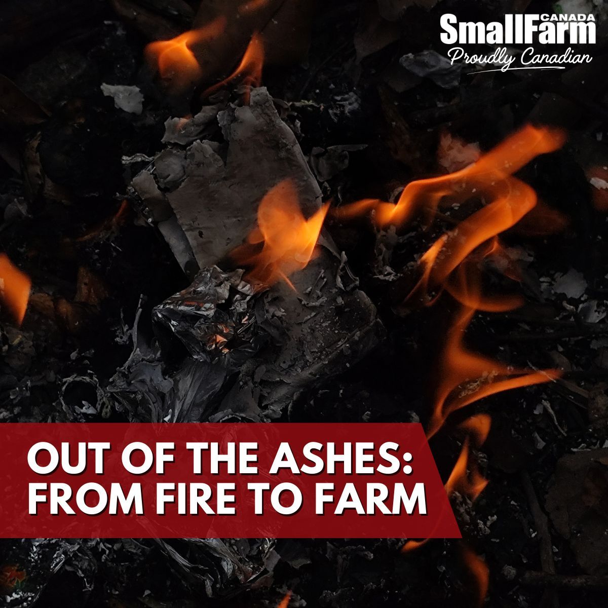 Small Farm Canada tweet media