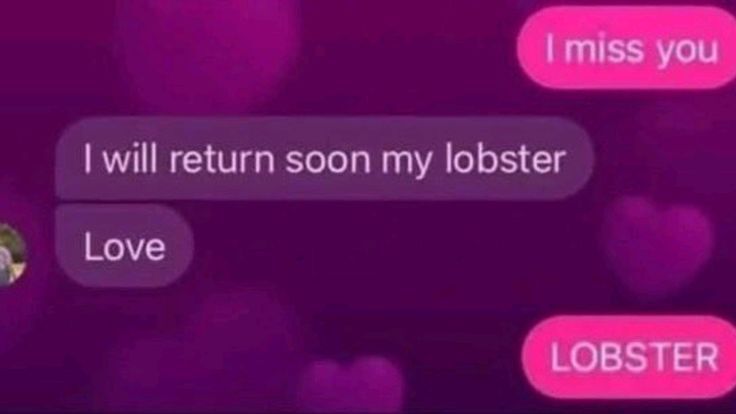 Wild Text Messages tweet media