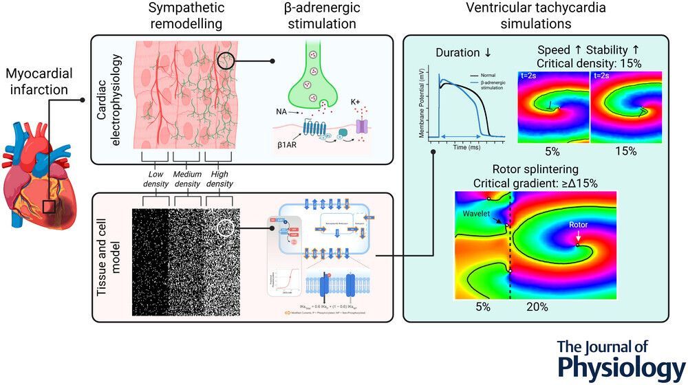 Journal of Physiology tweet media