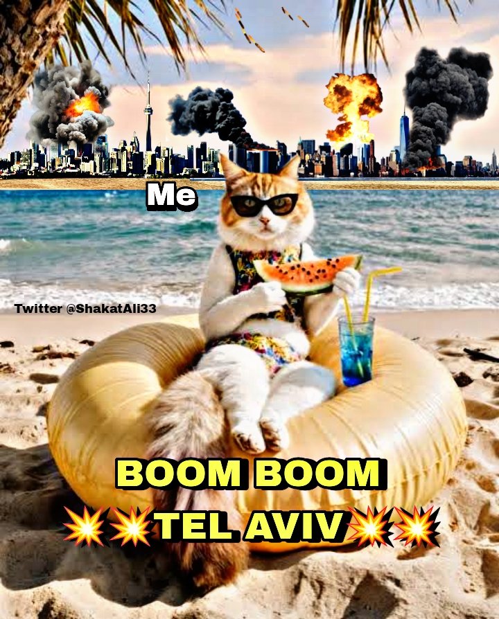 zübeyde☮️🕊️ tweet media