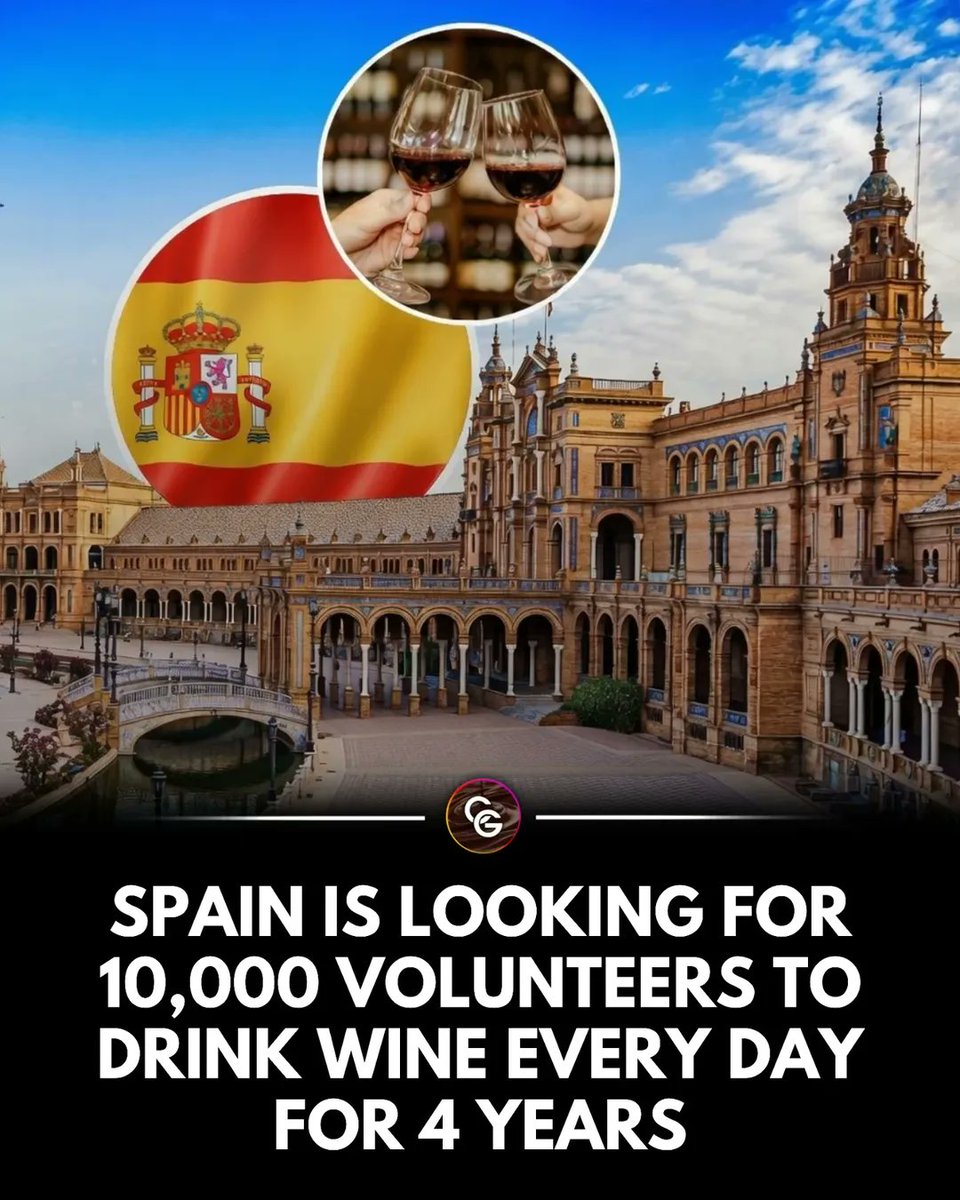 The World R🅰️nking tweet media