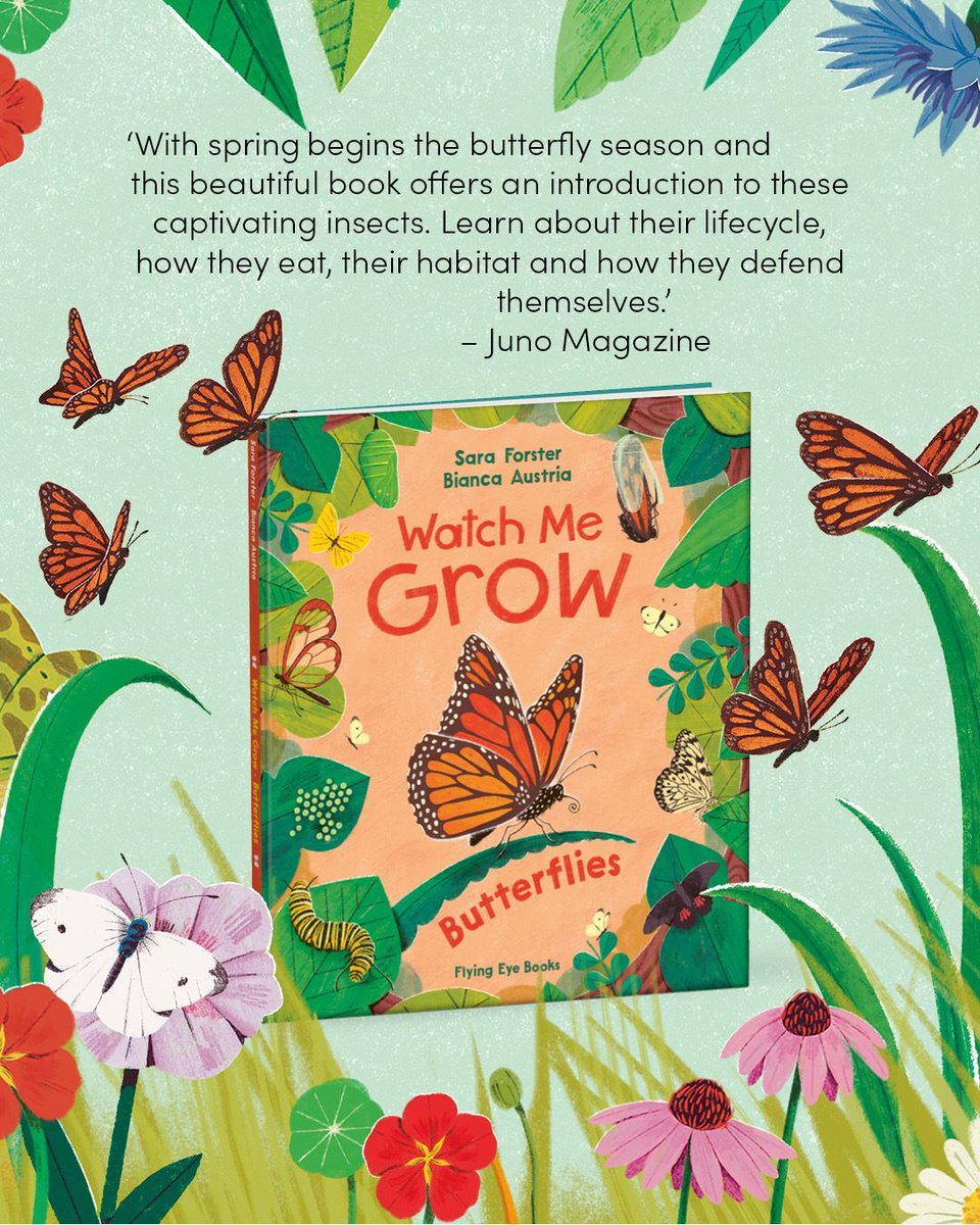 Flying Eye B👀ks tweet media