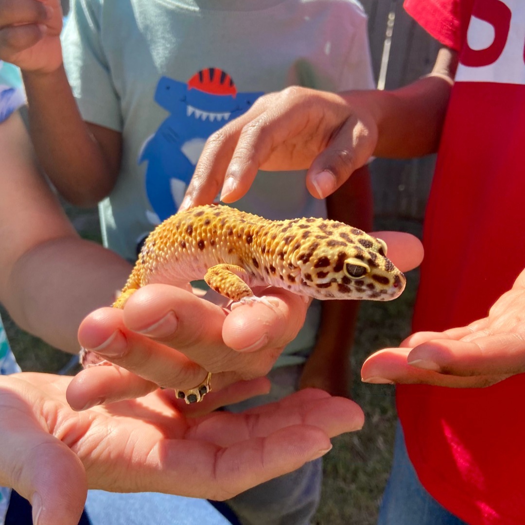 Once In A Wild tweet media