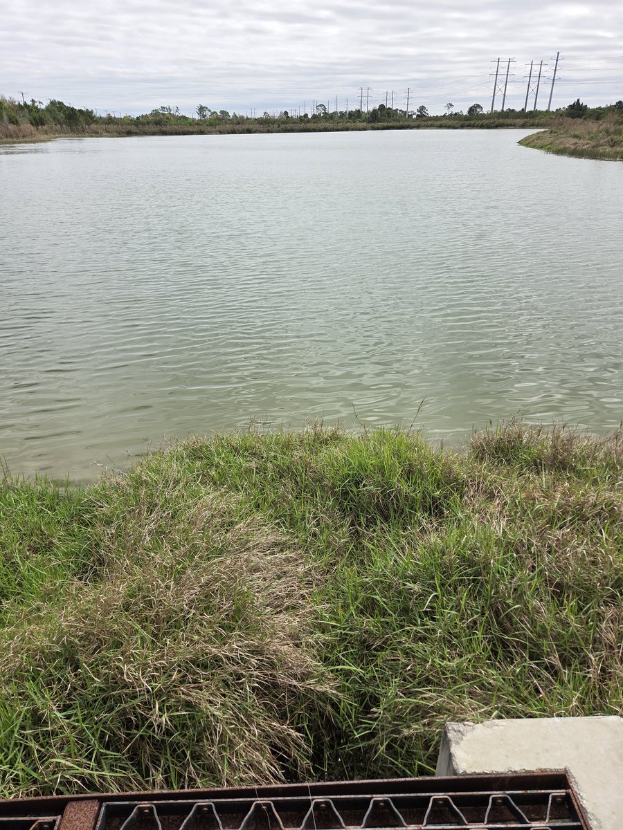 geeg 🇻🇦🦎 tweet media