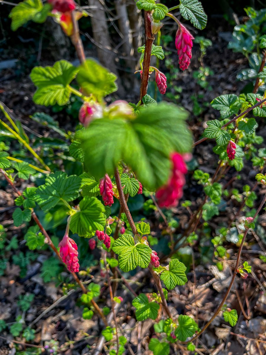 Wulan ♡ tweet media