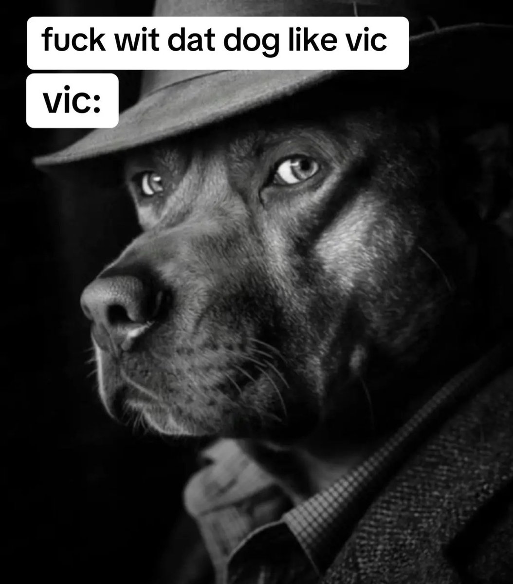 🇸🇬 tweet media