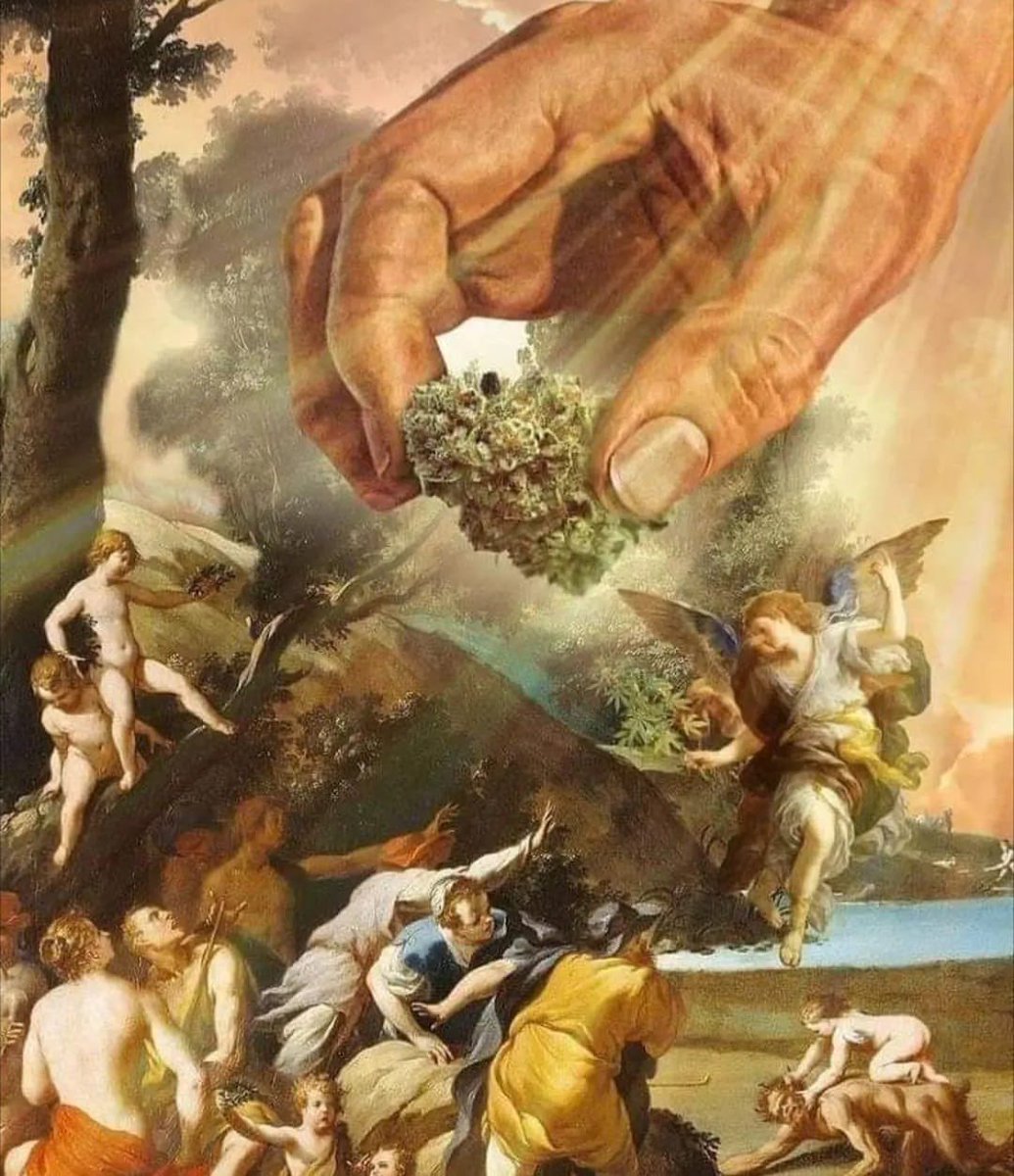 Sr. Weed tweet media