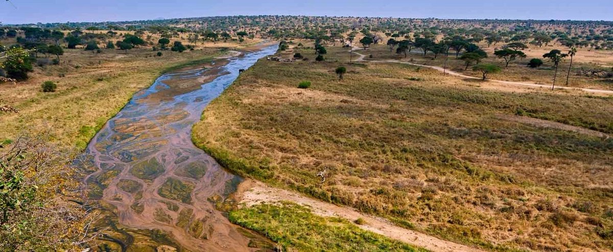 African Development Bank Group tweet media