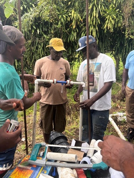 FAO in the Caribbean tweet media