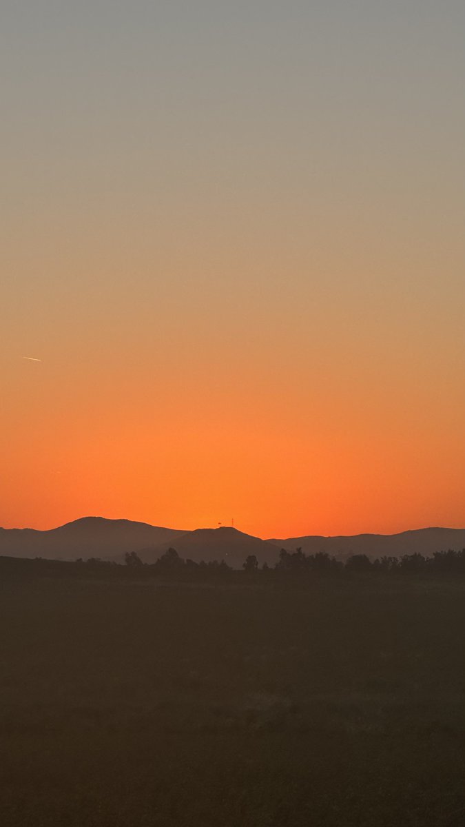 Zaid K. Dahhaj tweet media