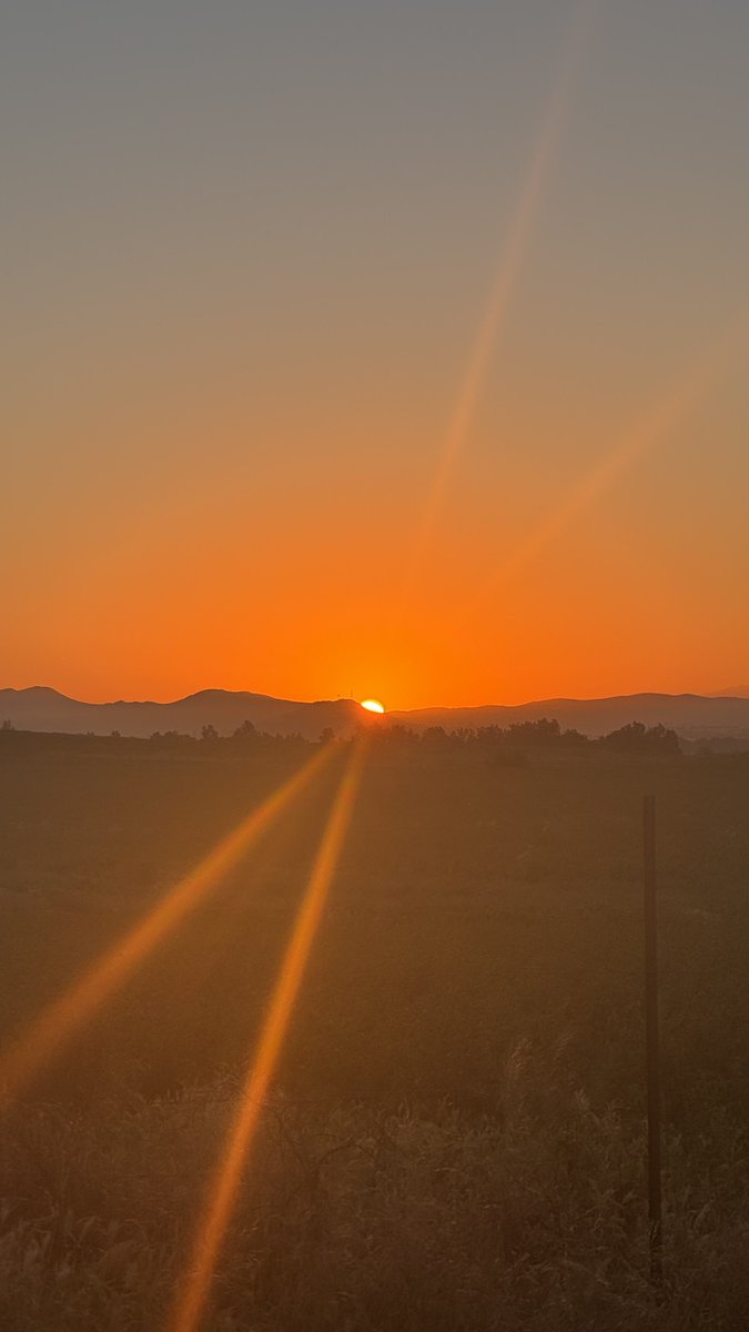 Zaid K. Dahhaj tweet media