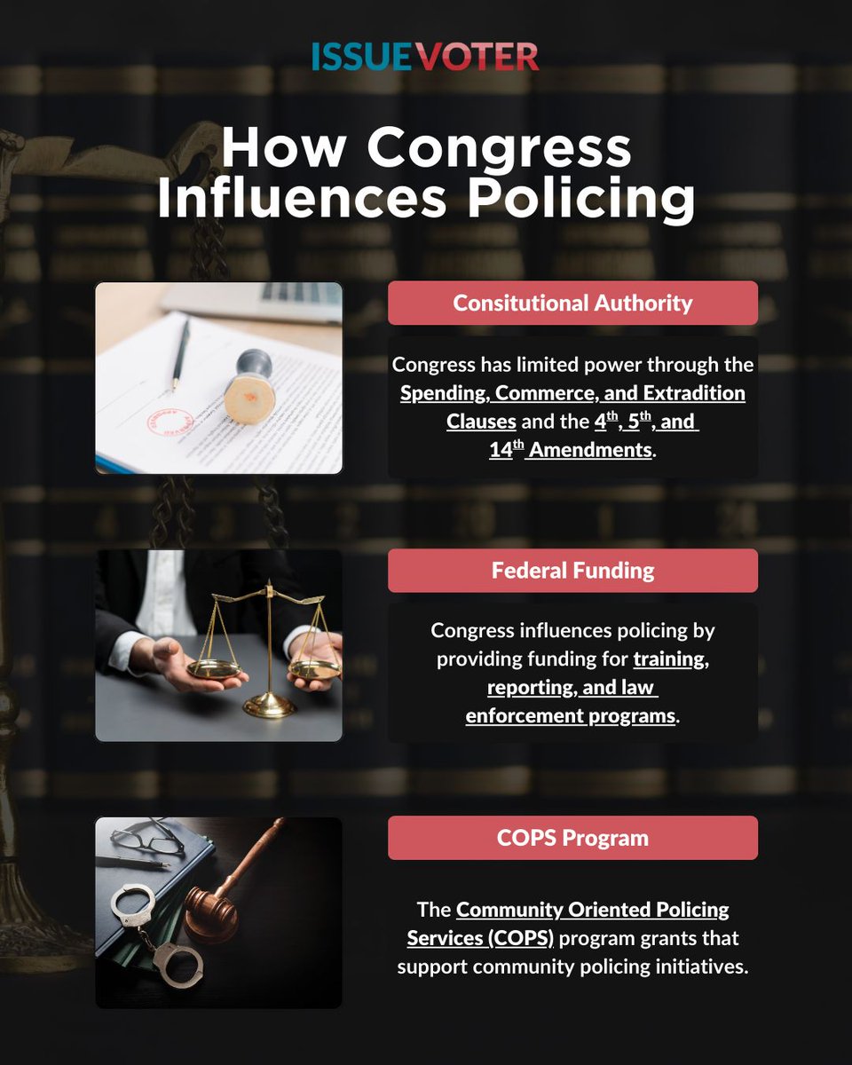 IssueVoter tweet media