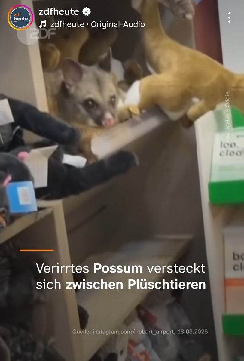 ÖRR Blog. tweet media