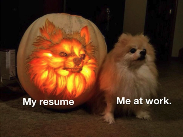 ram_verma_js's tweet photo. Hey honestly, today is a great day to apply to a job if you’re feeling lucky ☘️ https://t.co/QyYtgcUoEs