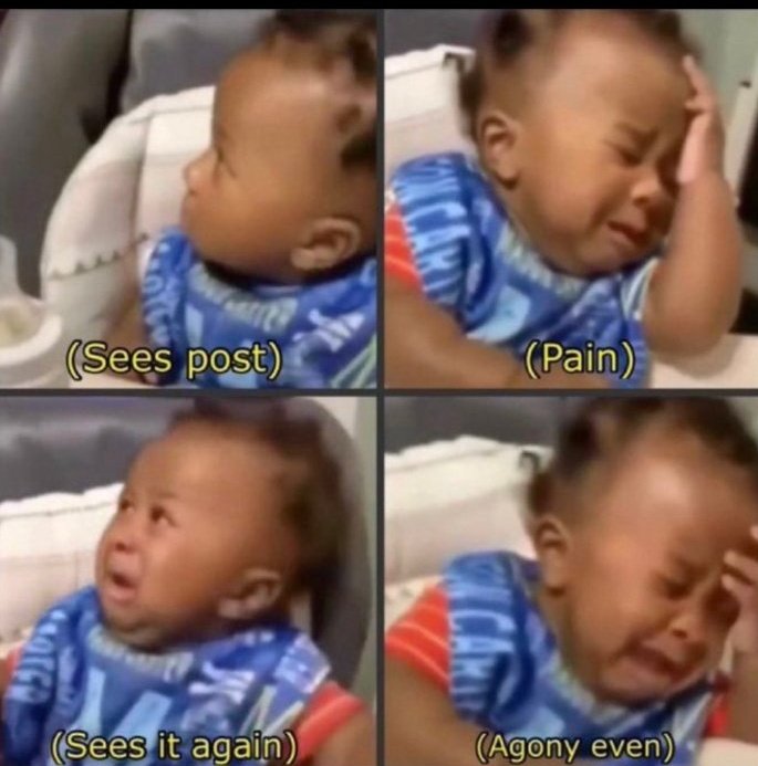 Decrypted tweet media