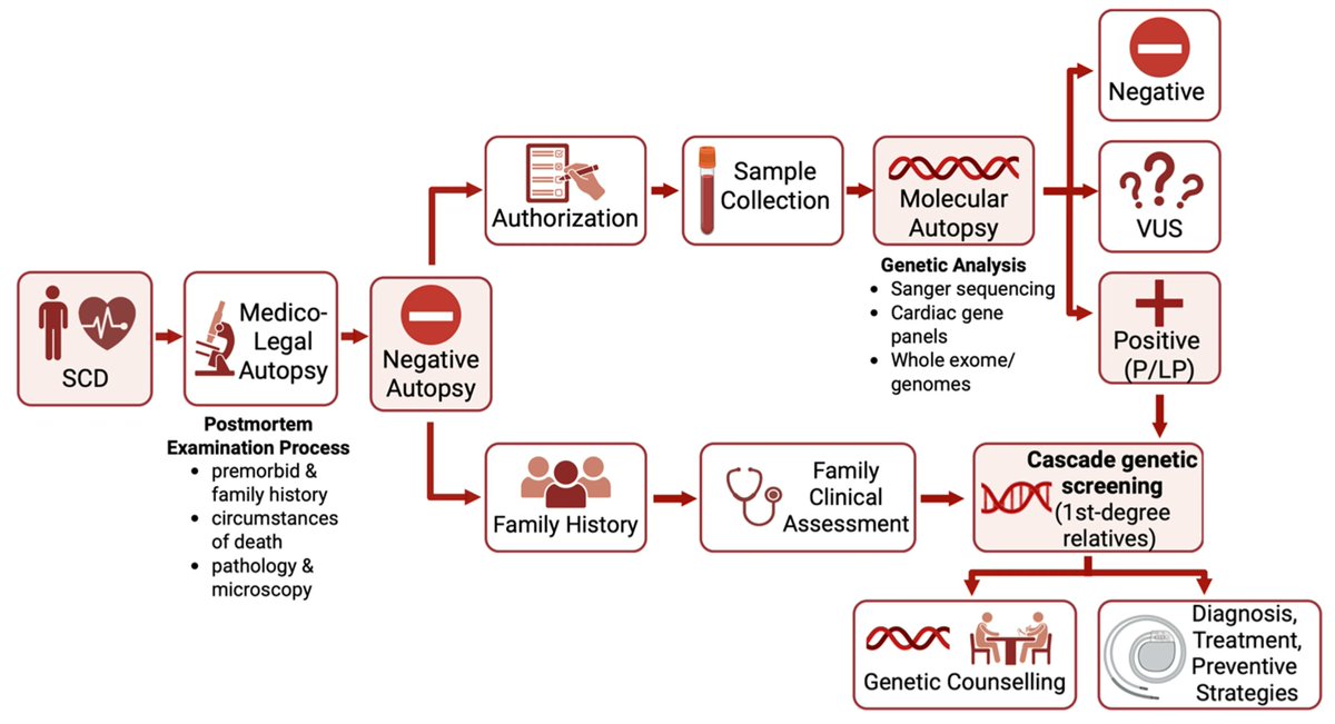 Cardiogenetics MDPI tweet media