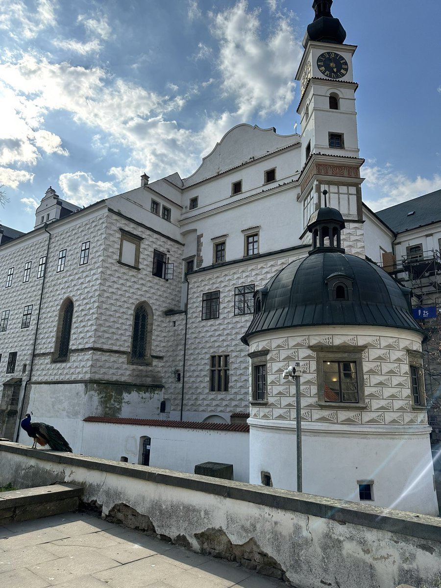 kryštof tweet media