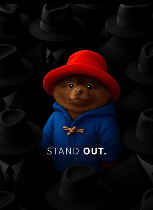 TraderSZ tweet media