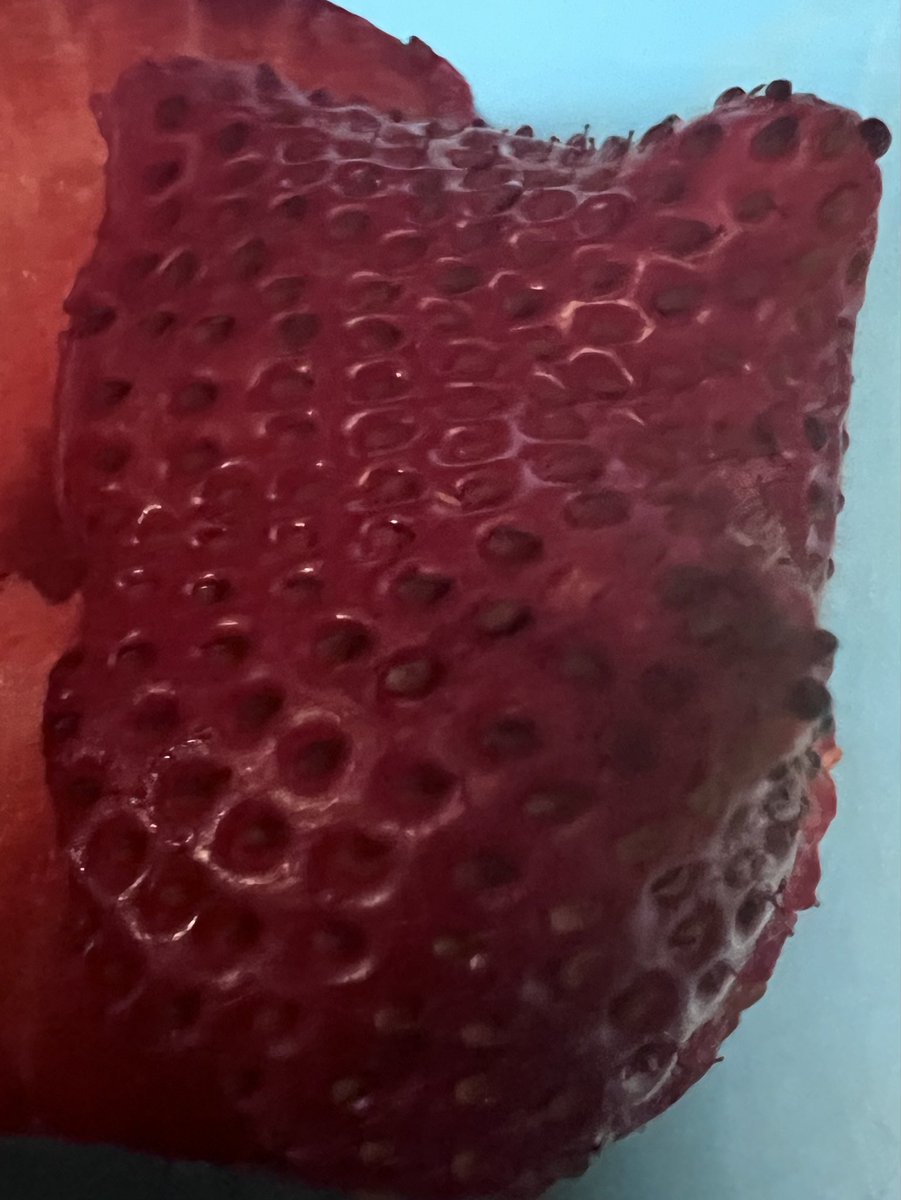 𝔖𝔞𝔟𝔯𝔦𝔫𝔞 𝔎 tweet media