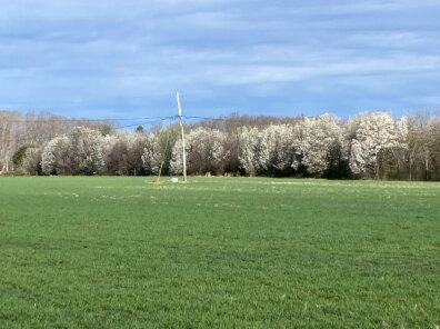 Tea Party Environmentalist tweet media