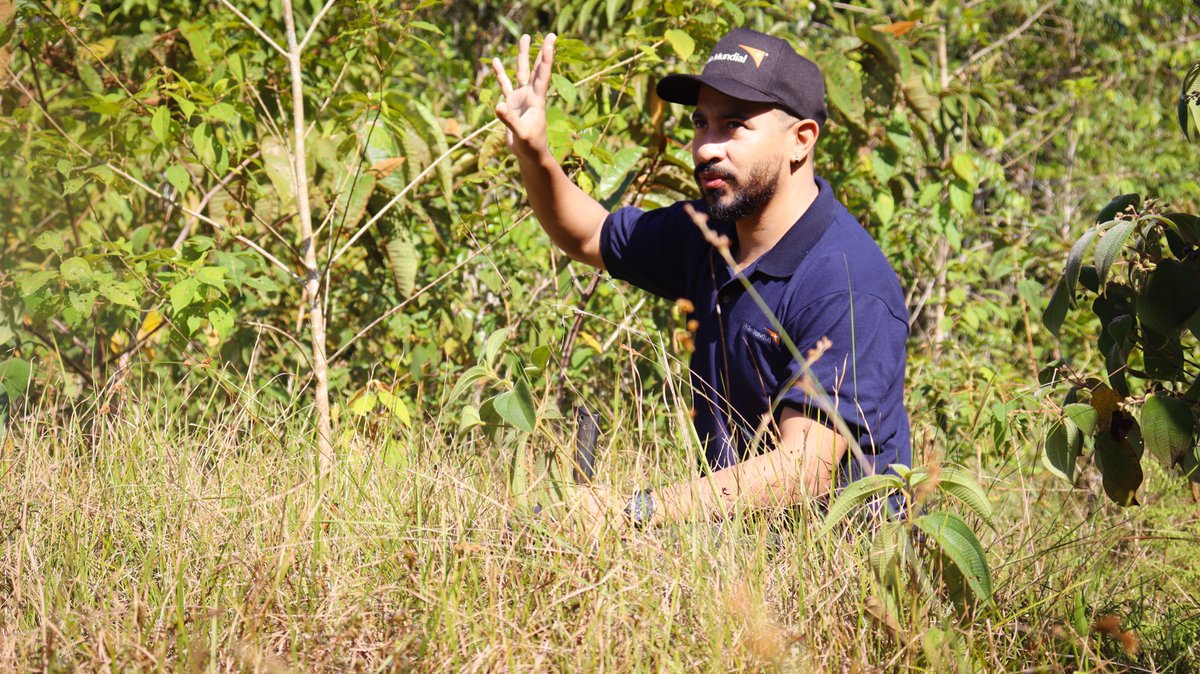 World Vision Colombia tweet media