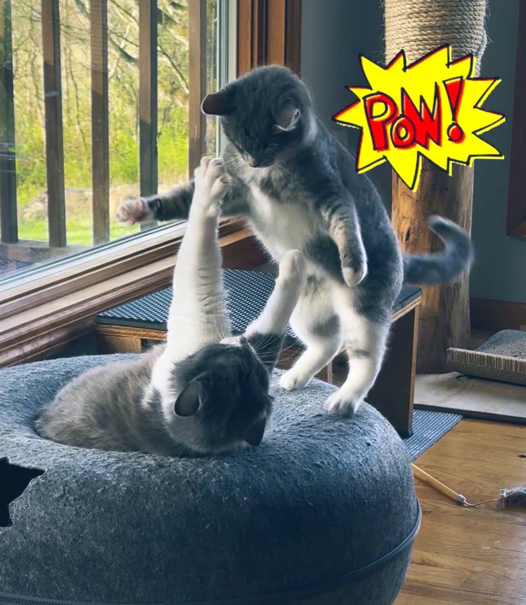 KAT 💕🫶 tweet media