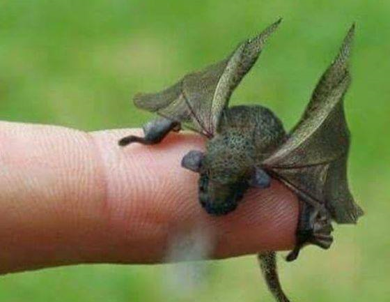 Nigel T Packer - Digital Customer Experience tweet media