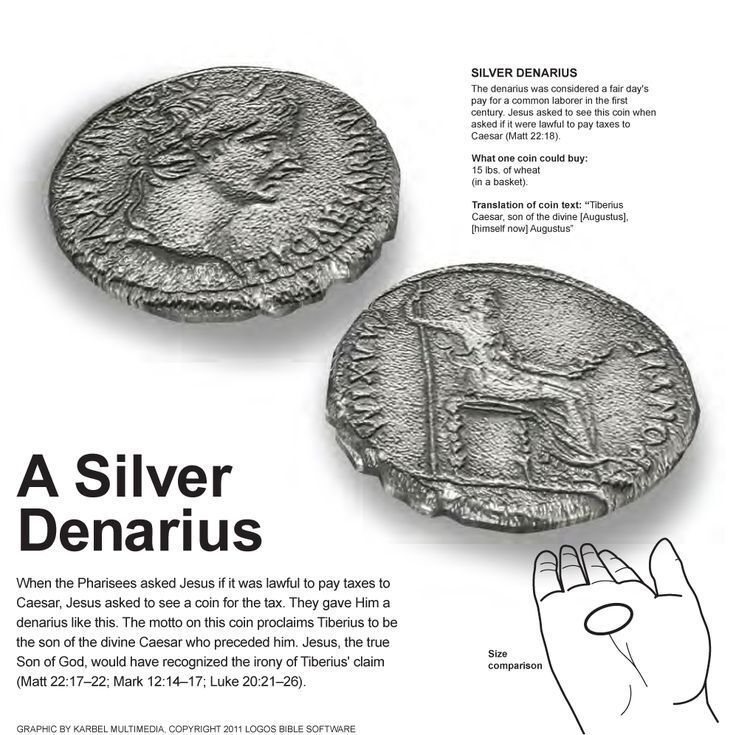 Josh Barzon tweet media