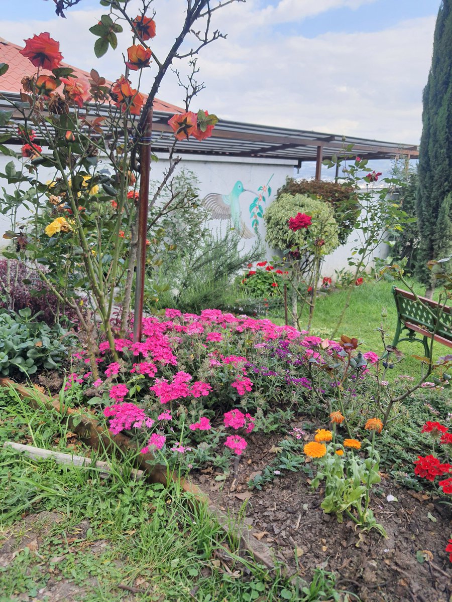 Nat 🚴♀️ tweet media