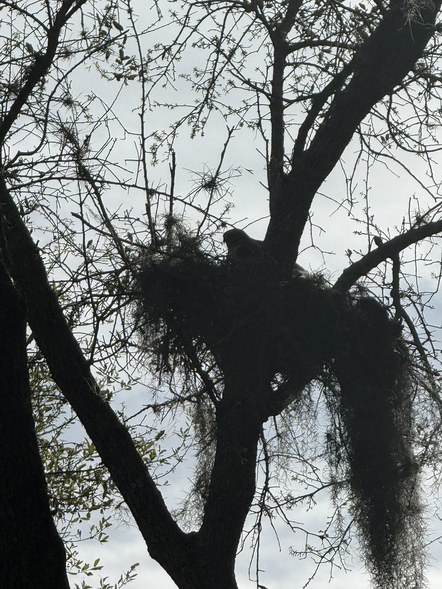 CheeksAdam tweet media