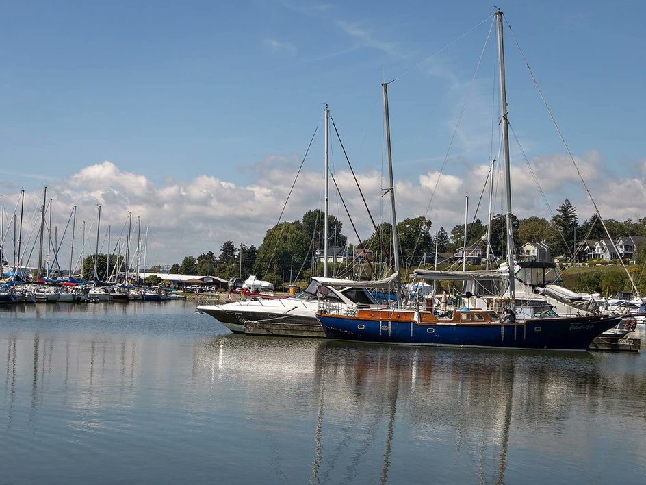 The Simcoe Reformer tweet media