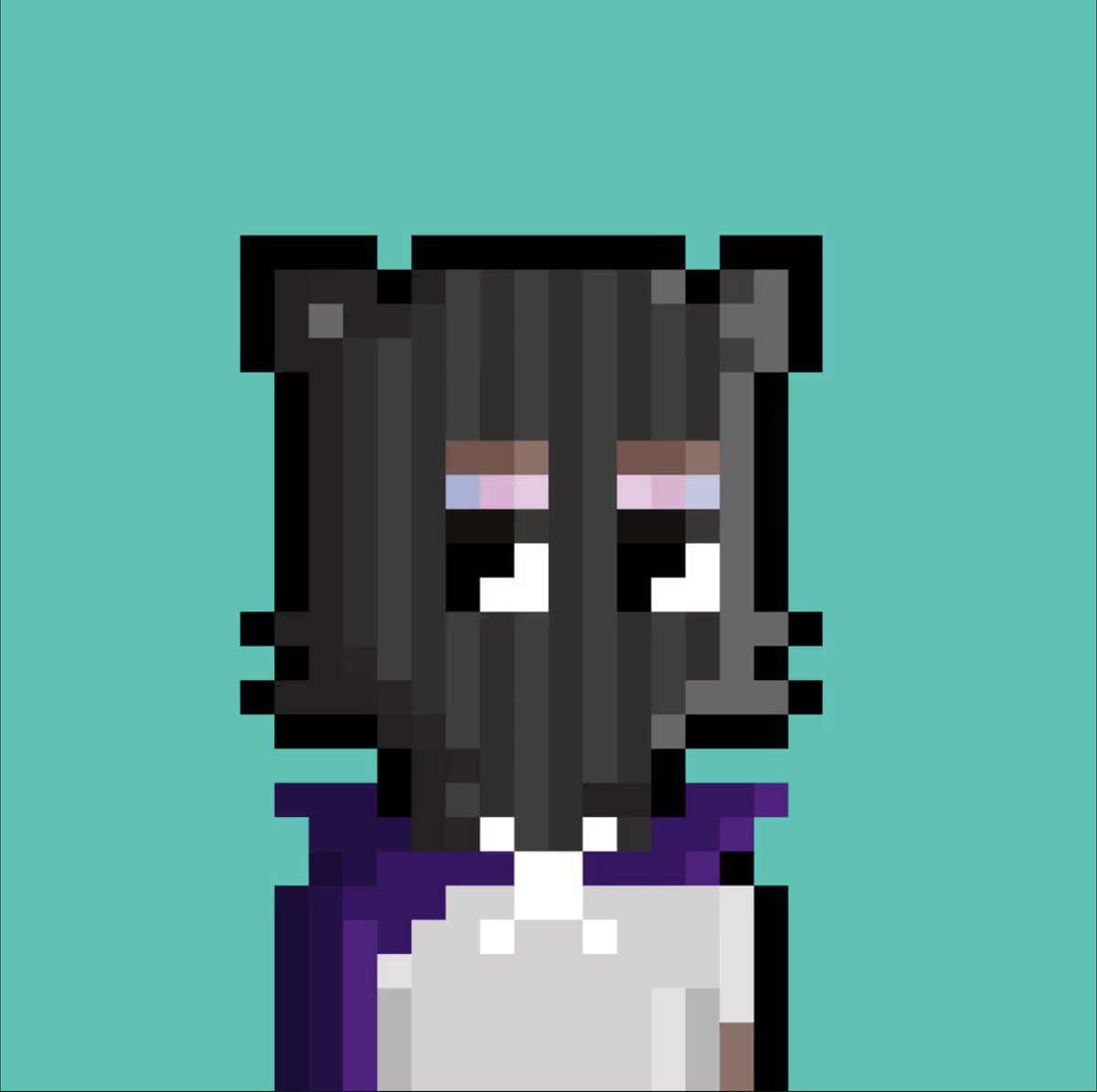 Kata 🇨🇦🇭🇺 tweet media