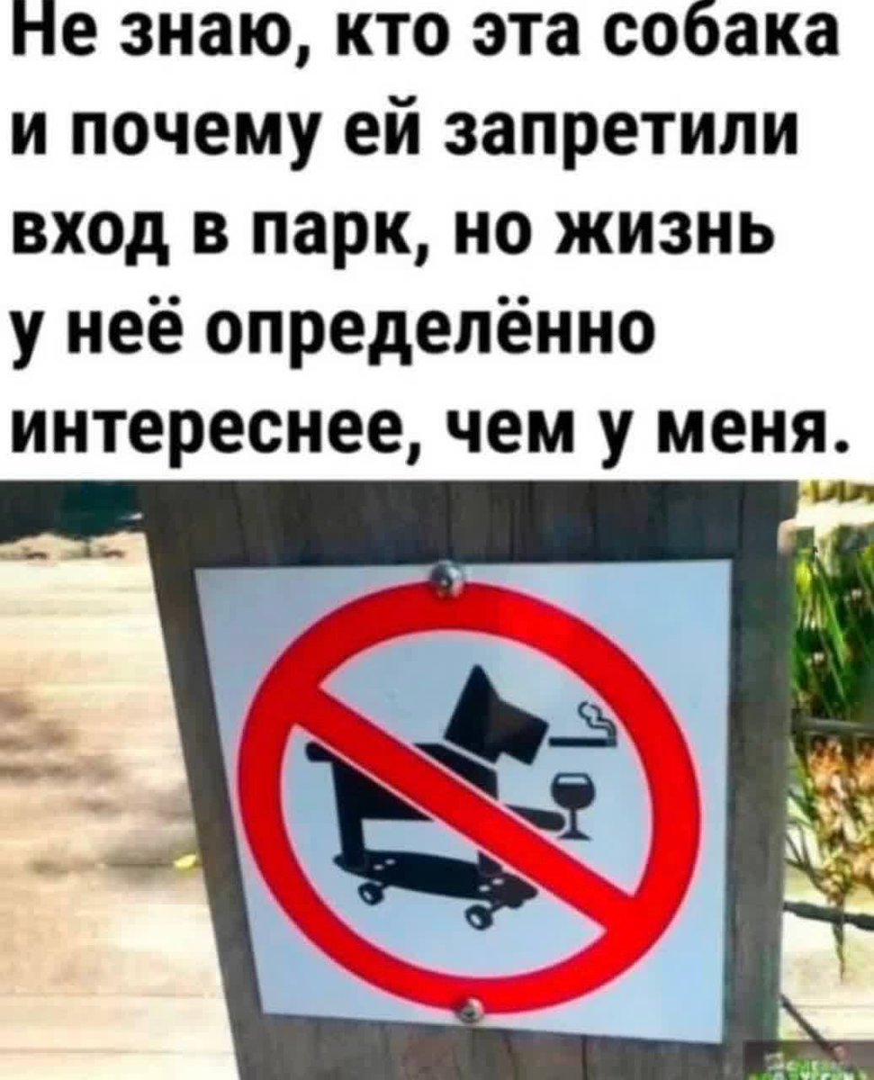 Пьяный Твиттер tweet media