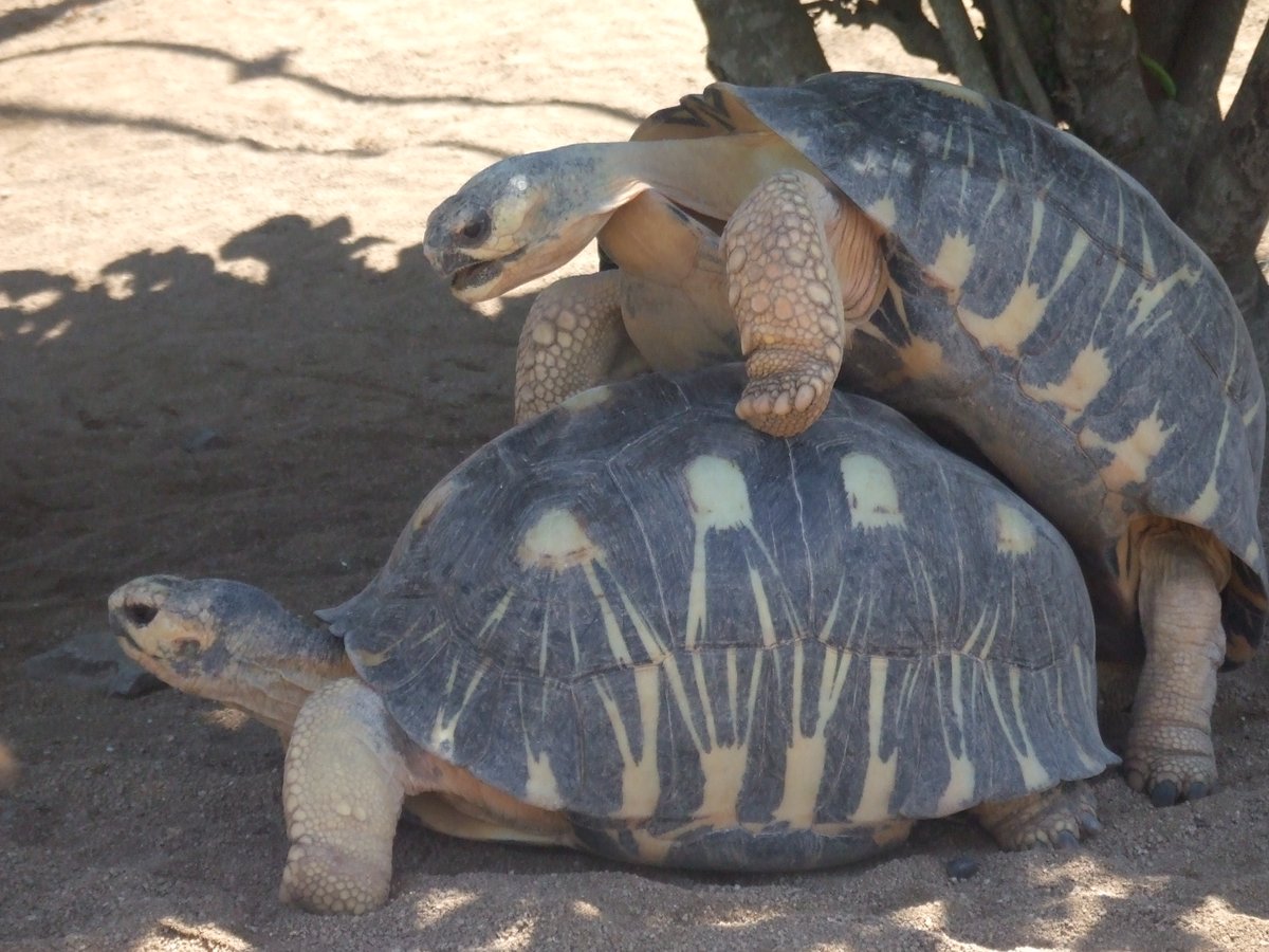 TheMightyHypoteneuse tweet media