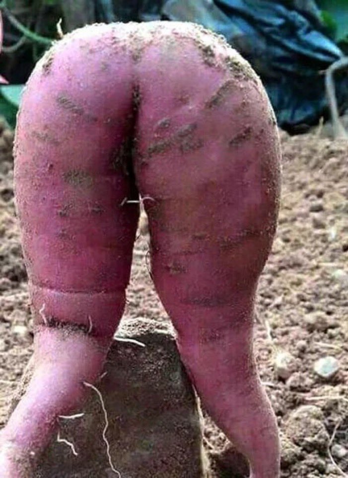 @chefdavidofficial5 ❤️ tweet media