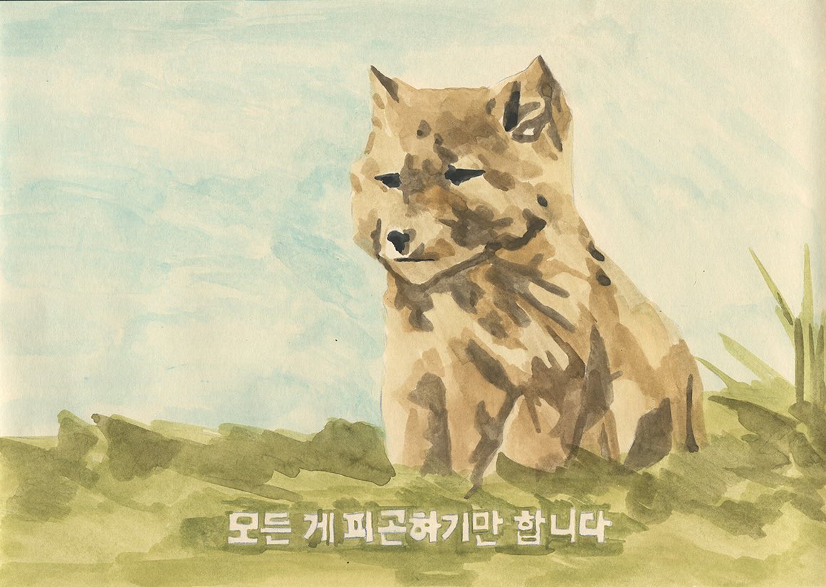 노상호 tweet media